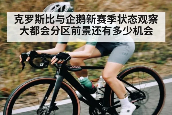 克罗斯比与企鹅新赛季状态观察 大都会分区前景还有多少机会